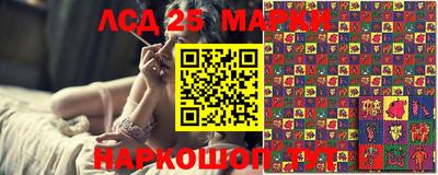 гашик Нарткала