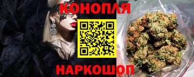 гашик Нарткала