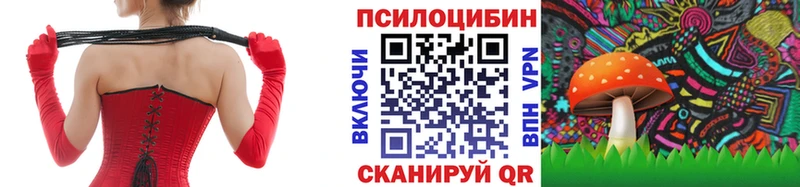 Псилоцибиновые грибы Cubensis  Слободской 
