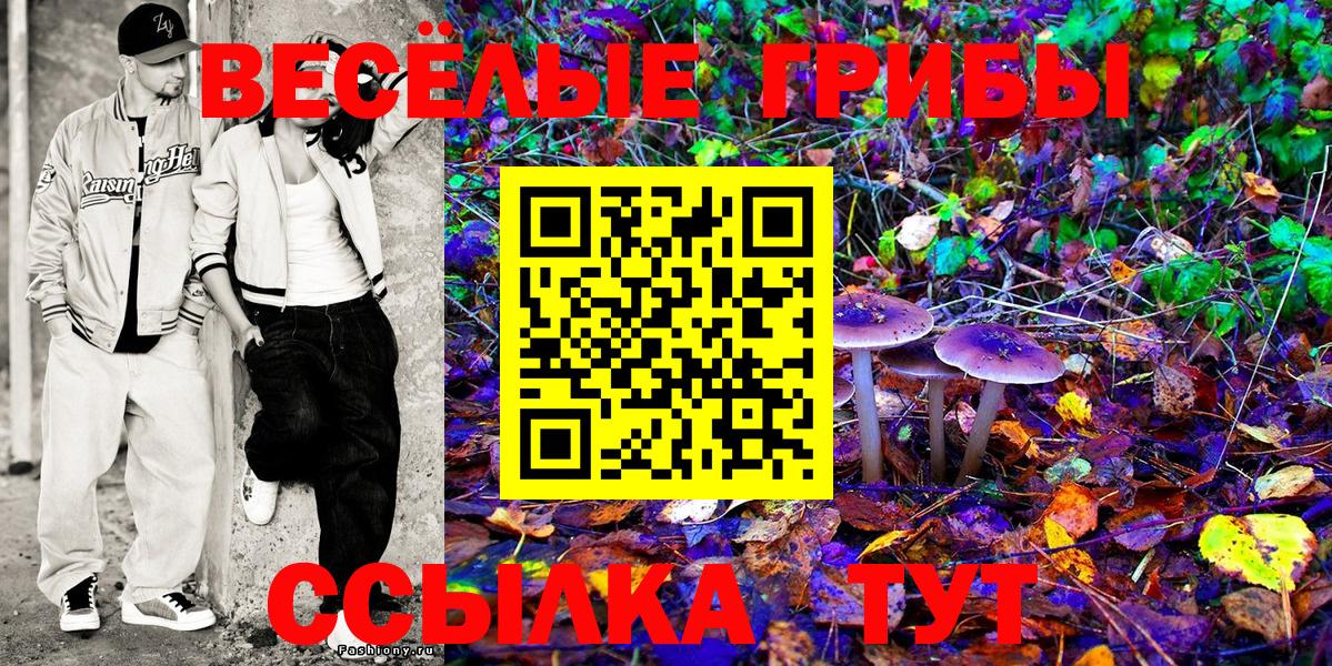 Псилоцибиновые грибы GOLDEN TEACHER Слободской