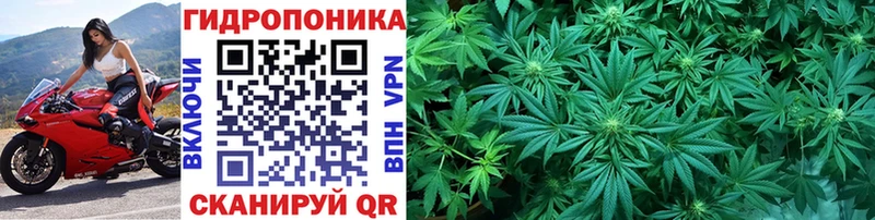сколько стоит  МЕГА ссылка  Бошки Шишки OG Kush  Слободской 